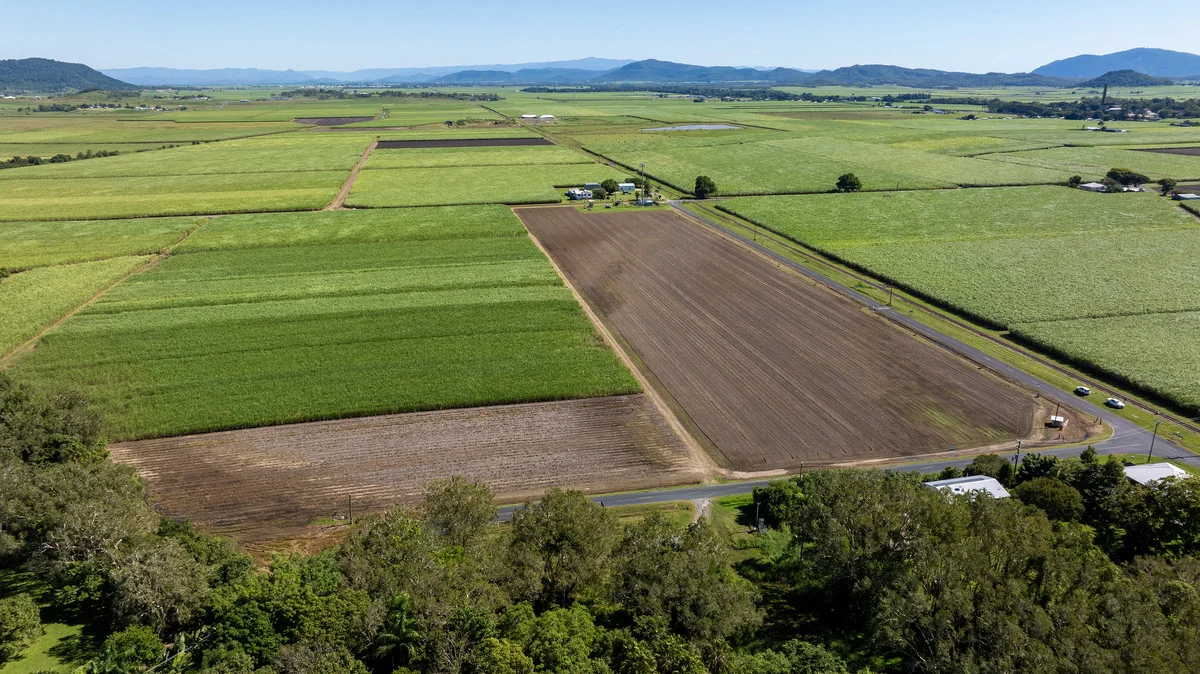 Additional image 7 of McColl Street, Walkerston QLD 4751