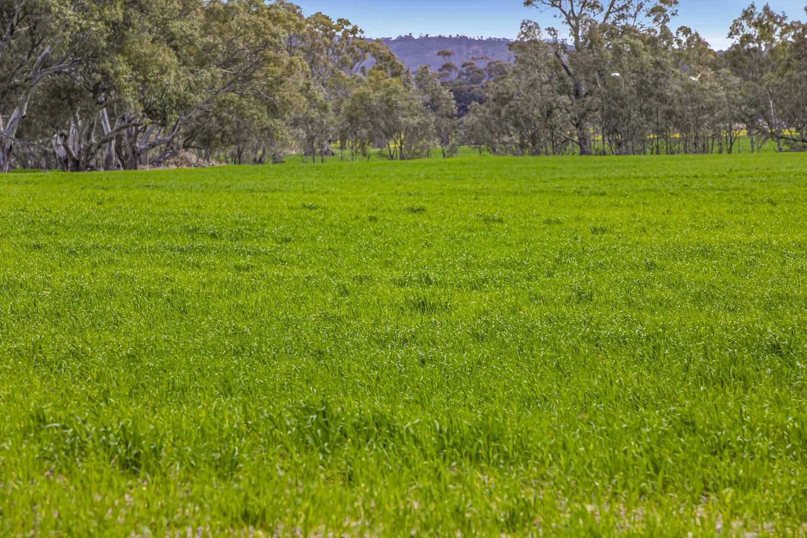 Additional image 20 of 441 Frenchmans - St Arnaud Road, Barkly VIC 3384