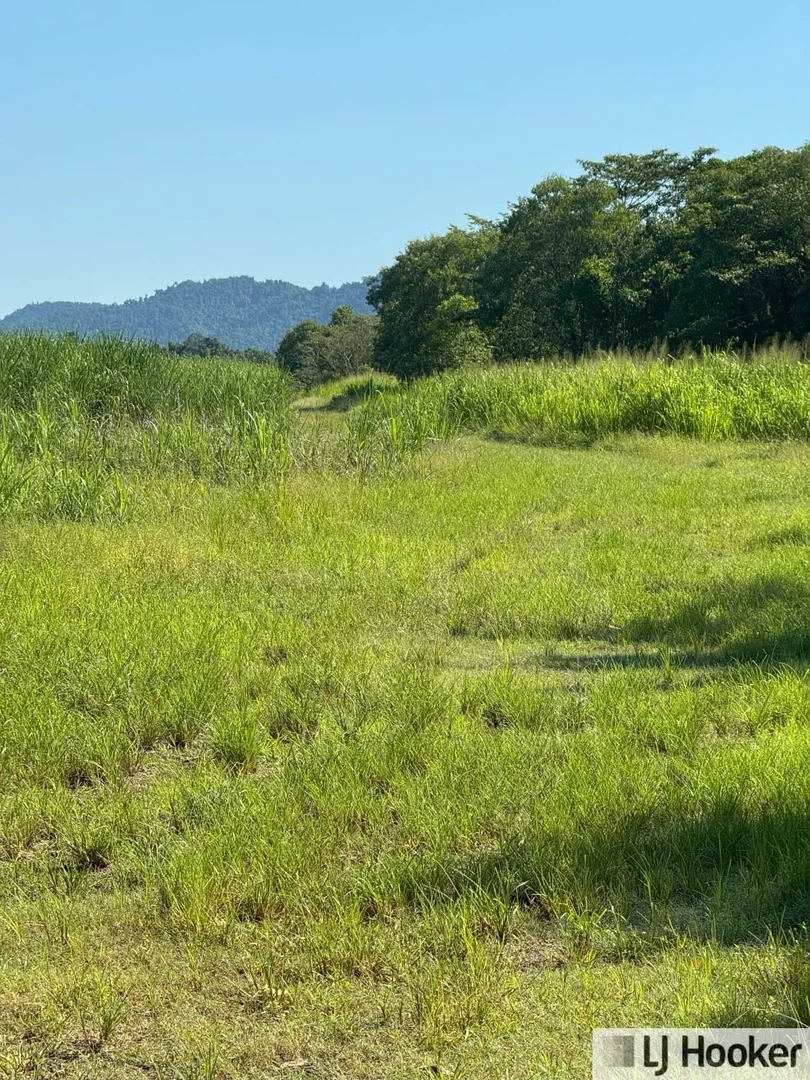 Additional image 9 of l3 Frazer Road, Birkalla QLD 4854