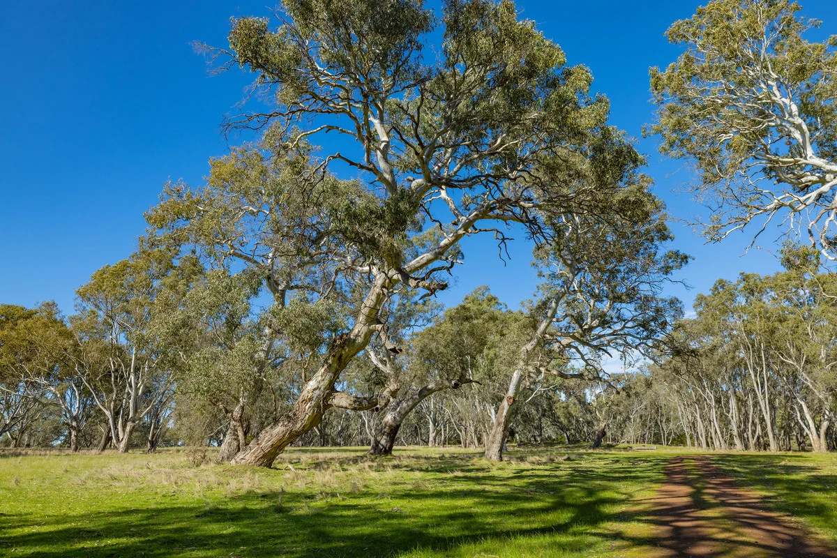 Additional image 16 of 252 Wannon Nigretta Road, Wannon VIC 3301
