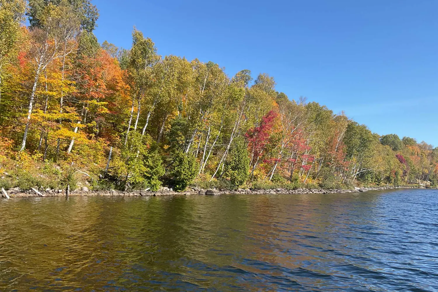 522340146 Little Long Lake