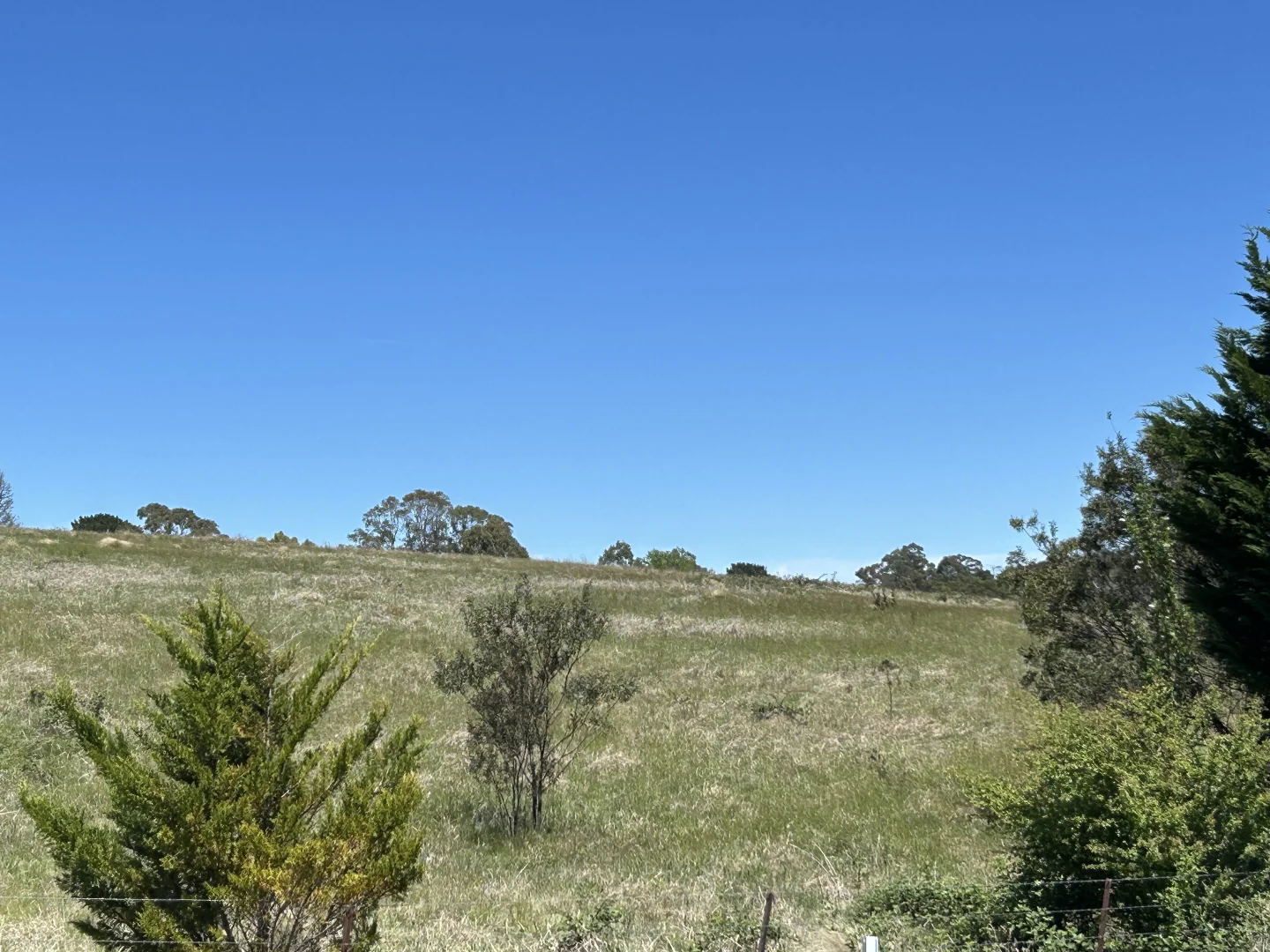 Additional image 11 of 1202 Majors Creek Road, Majors Creek NSW 2622