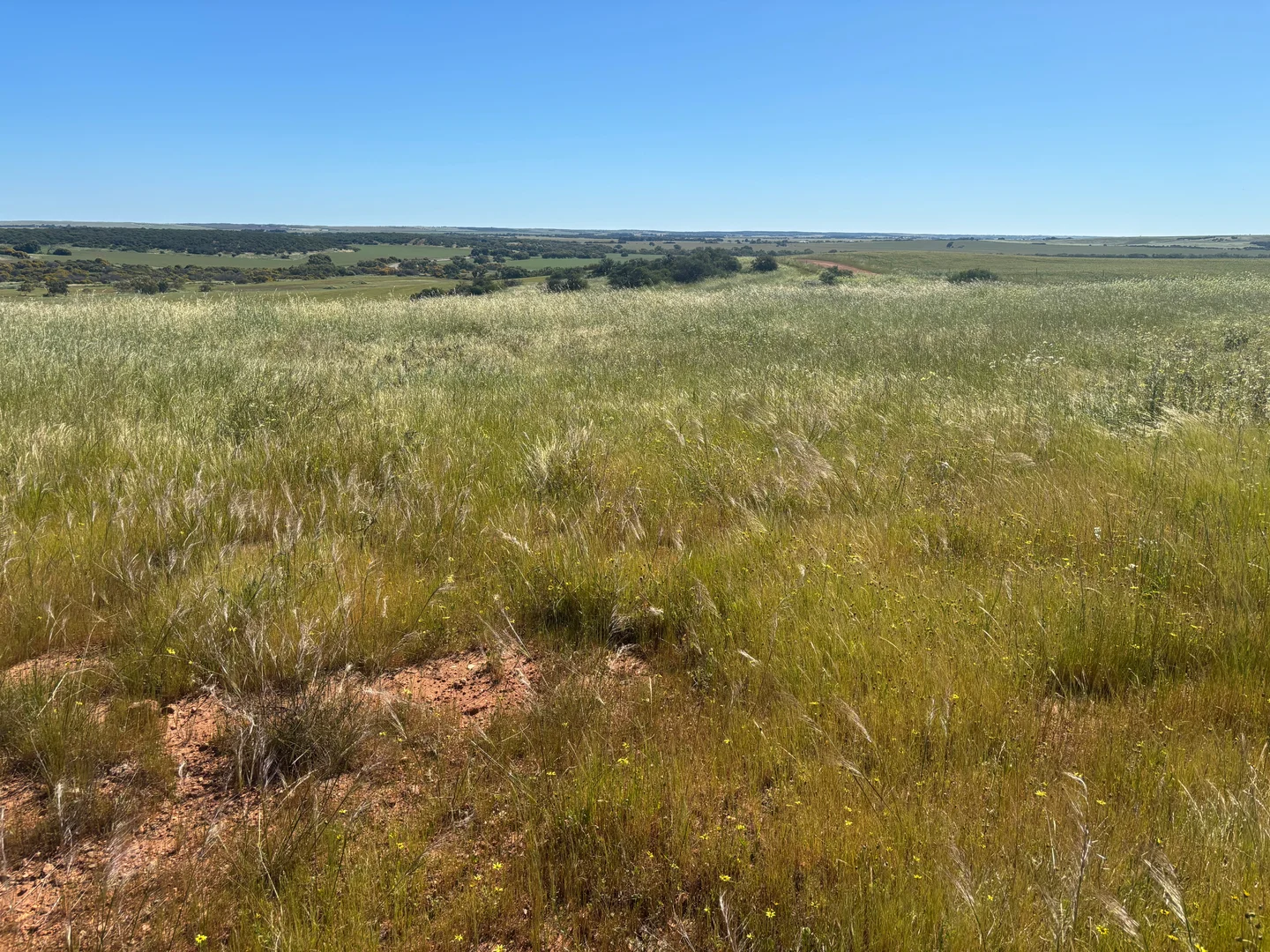 Additional image 9 of Lot 1914 Minnenooka Road, Minnenooka WA 6532