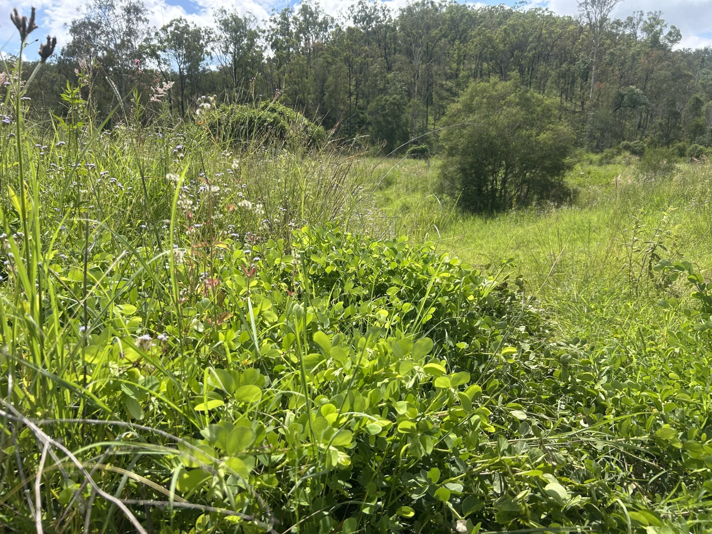 Additional image 5 of 789 Coppin Rd, Monto QLD 4630