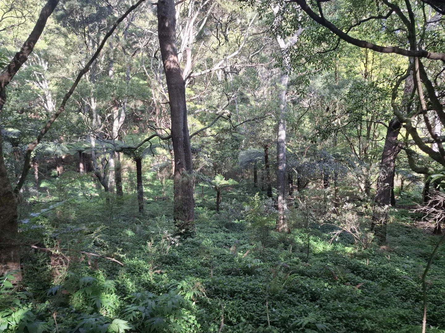 Additional image 3 of 273 Boolarra-Foster Road, Foster VIC 3960