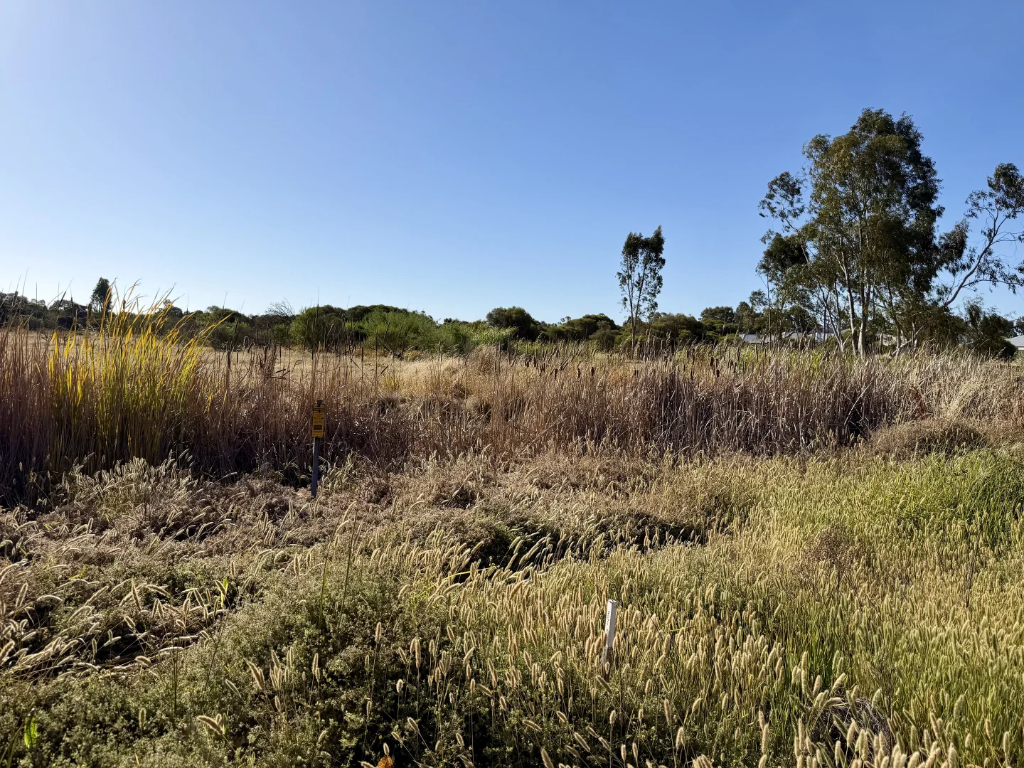 Additional image 2 of Lot 500 Hampton Road, Pinjarra WA 6208