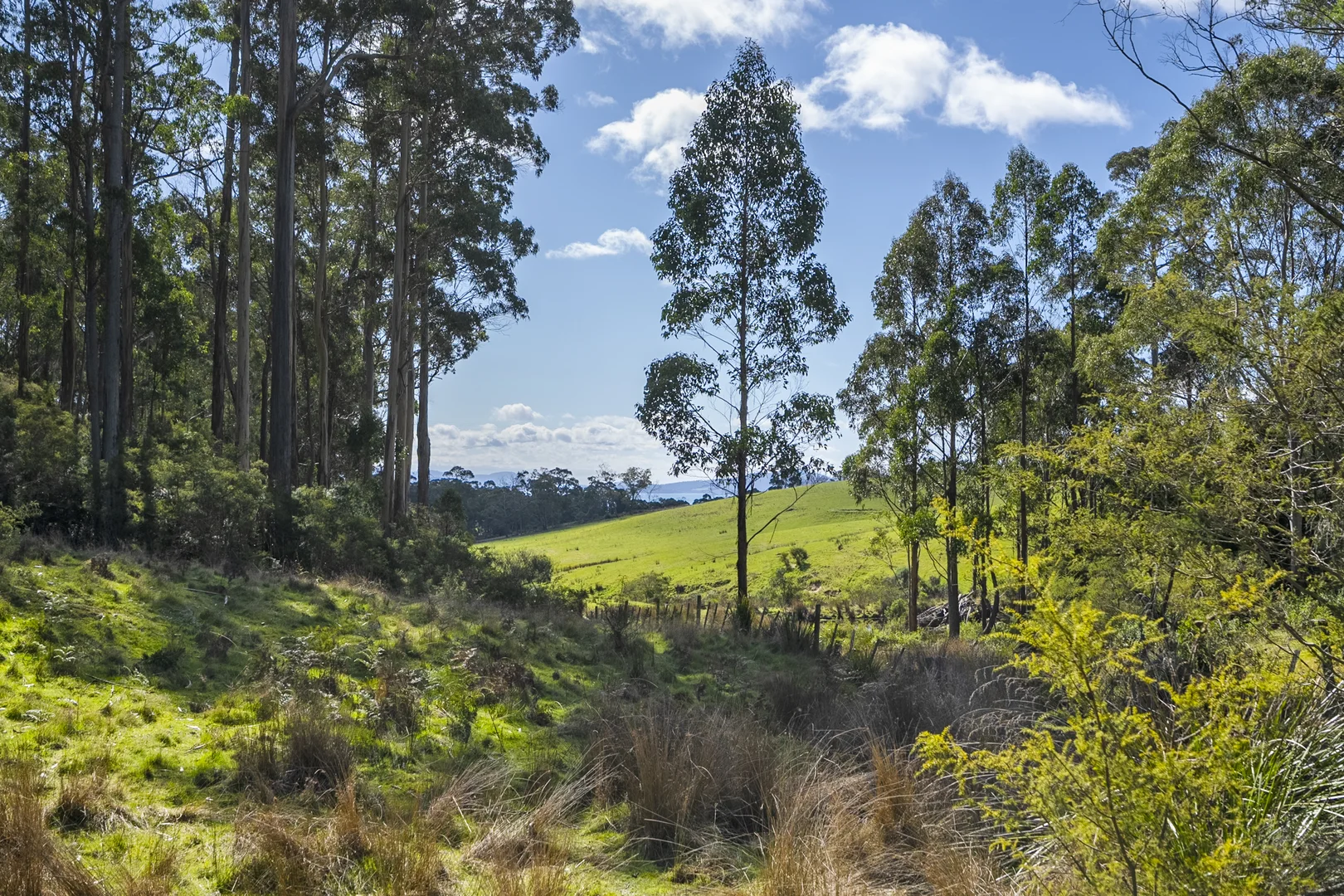 Additional image 24 of 129 Littles Road, Premaydena TAS 7185