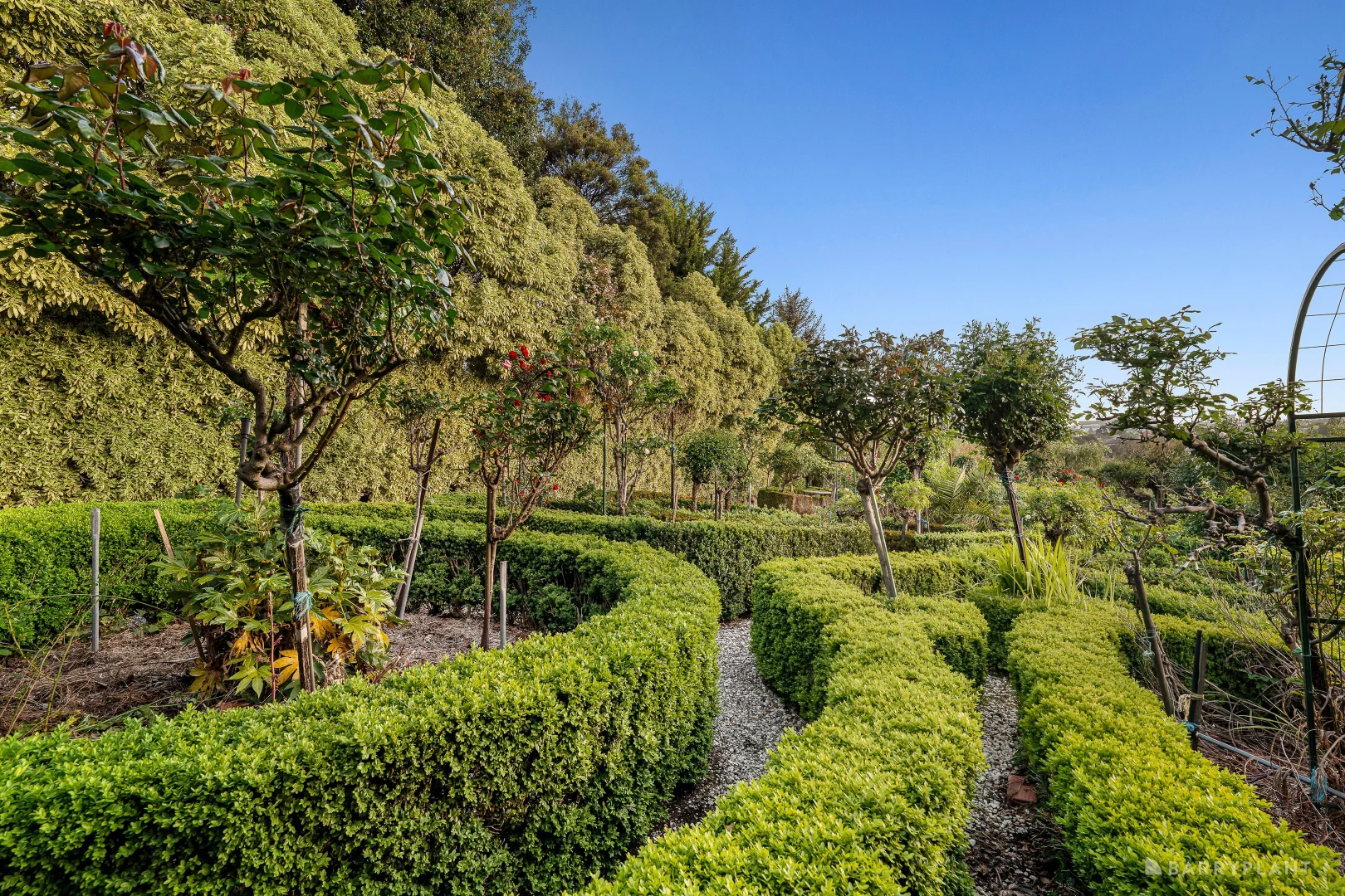 Additional image 17 of 25 Bamfield Close, Templestowe VIC 3106