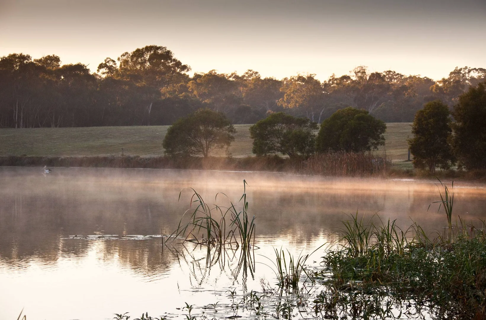 Additional image 15 of 1/186 Ford Road, Burbank QLD 4156