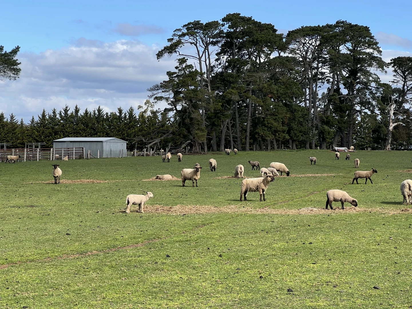 Additional image 4 of Lot 2 Grahams Road, Lancefield VIC 3435