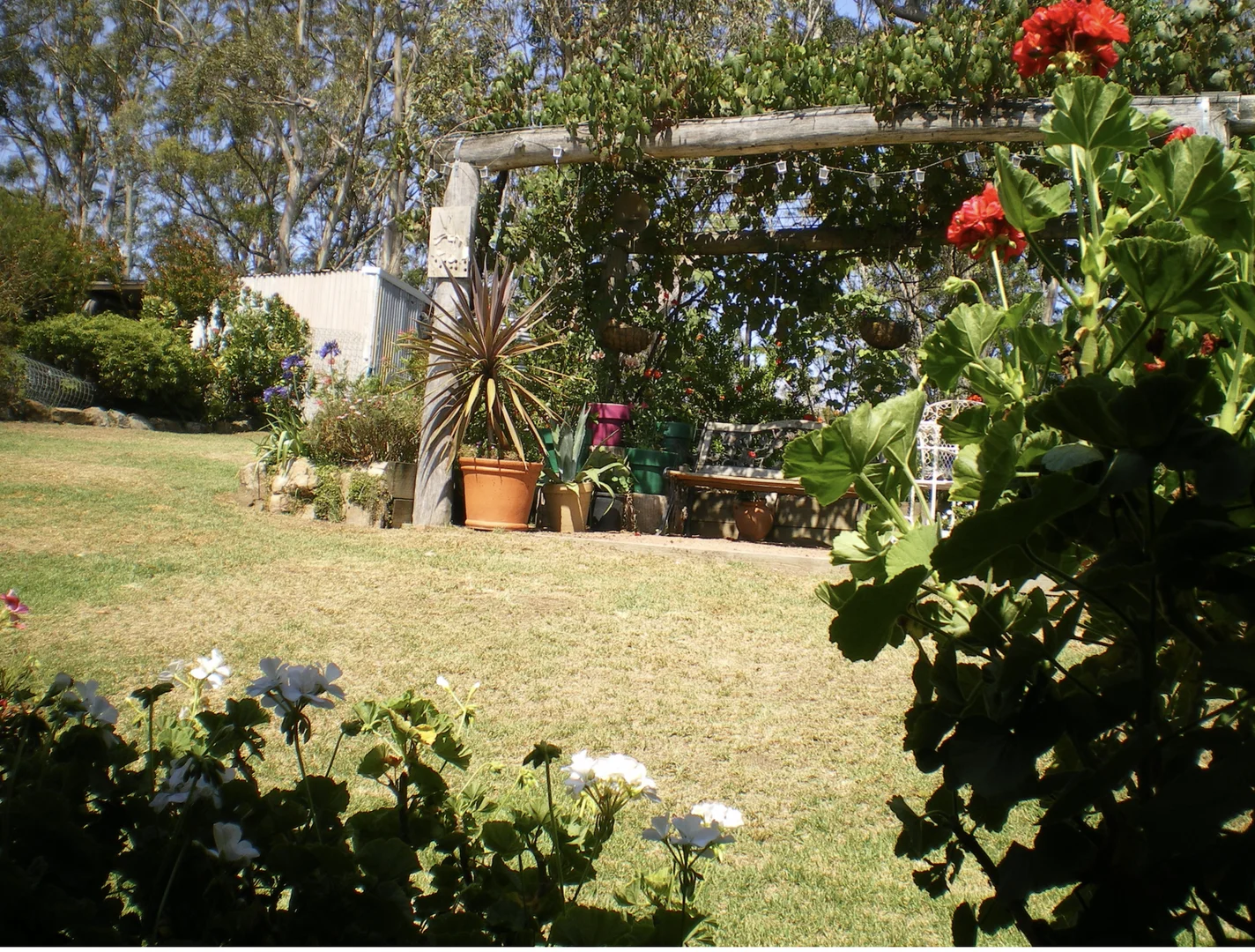 Additional image 5 of 165 Timberlea Road, Mount Royal NSW 2330