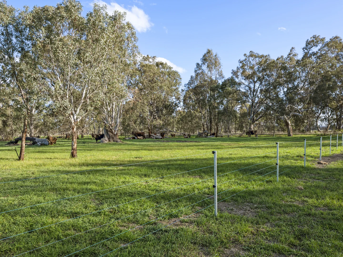 Additional image 15 of 290 Riggs Creek Road, Balmattum via, Euroa VIC 3666