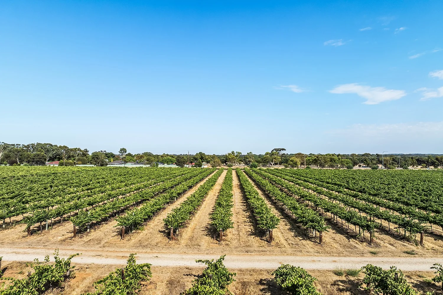 Additional image 7 of 14 Vine Vale Road, Tanunda SA 5352