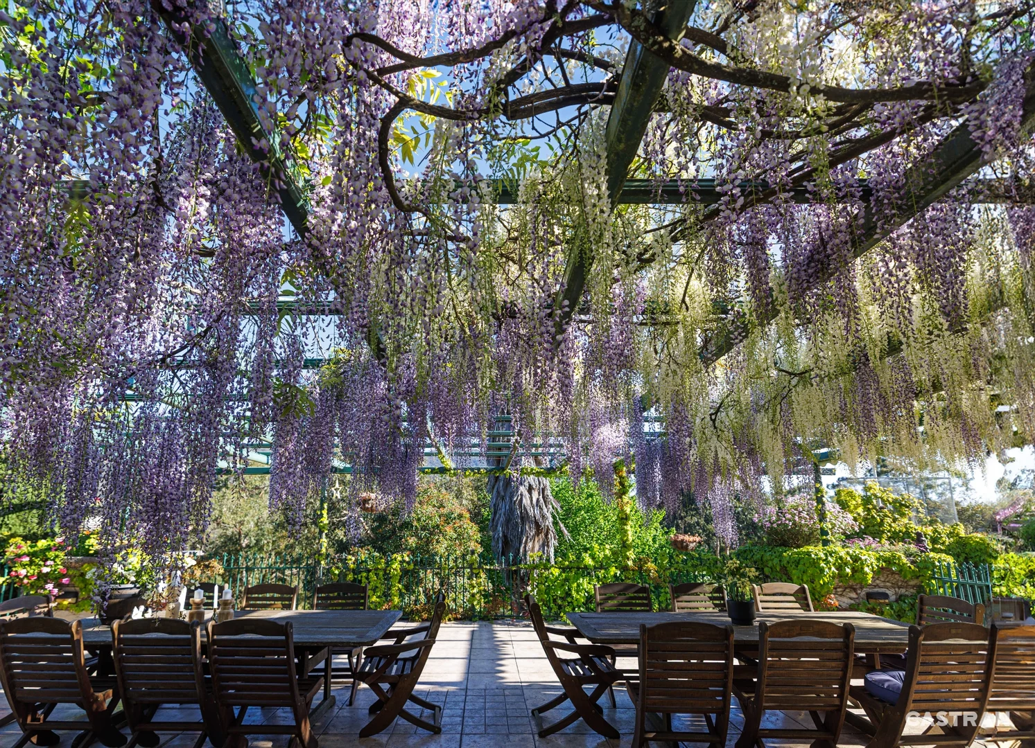 Additional image 9 of 125 Swansea Road, Montrose VIC 3765