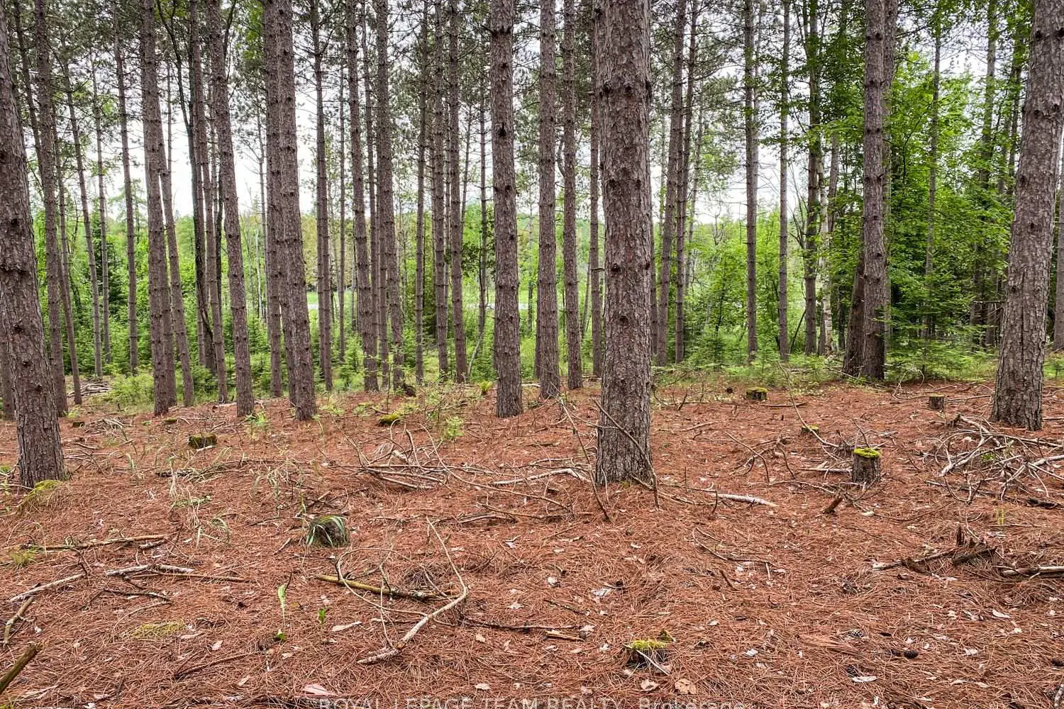 Additional image 8 of 1477 Watsons Corners Road