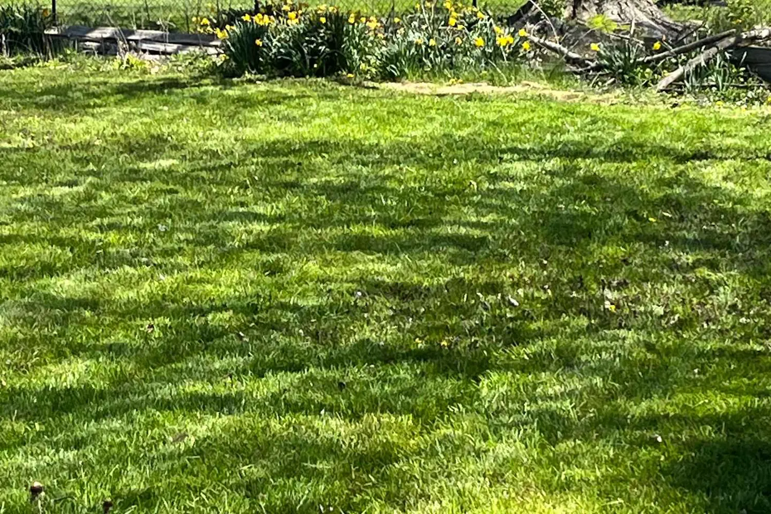 Additional image 14 of 335 Robson Road