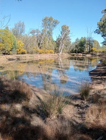 Additional image 5 of Tara QLD 4421