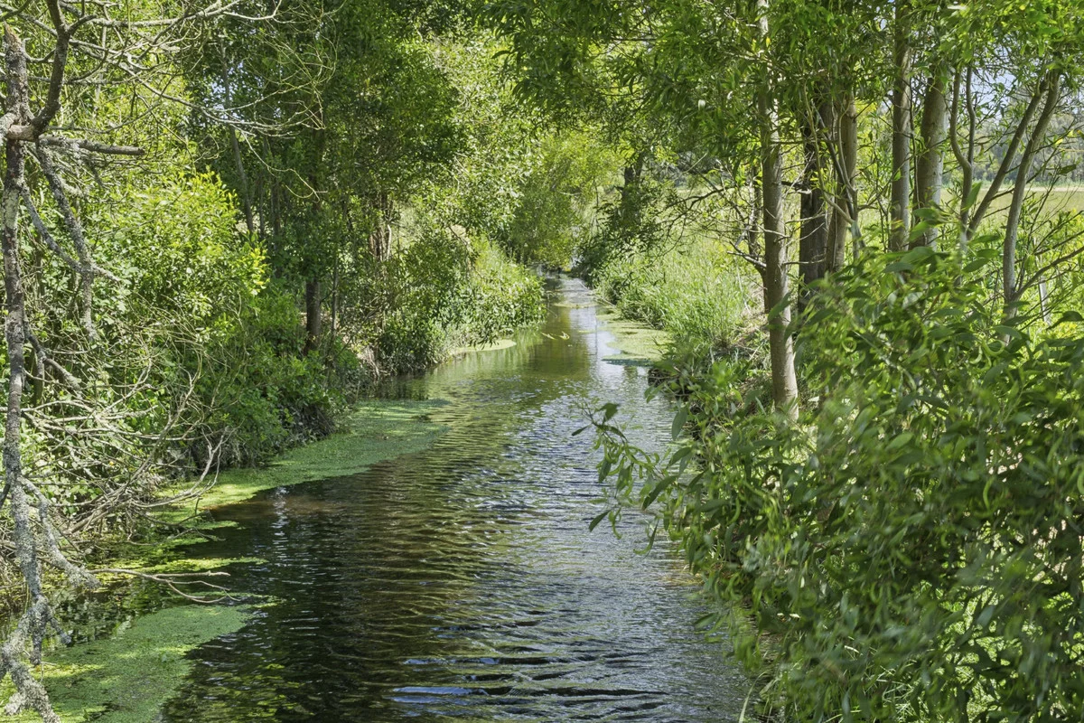 Additional image 2 of 2520 Carlisle Road, Carlisle River VIC 3239