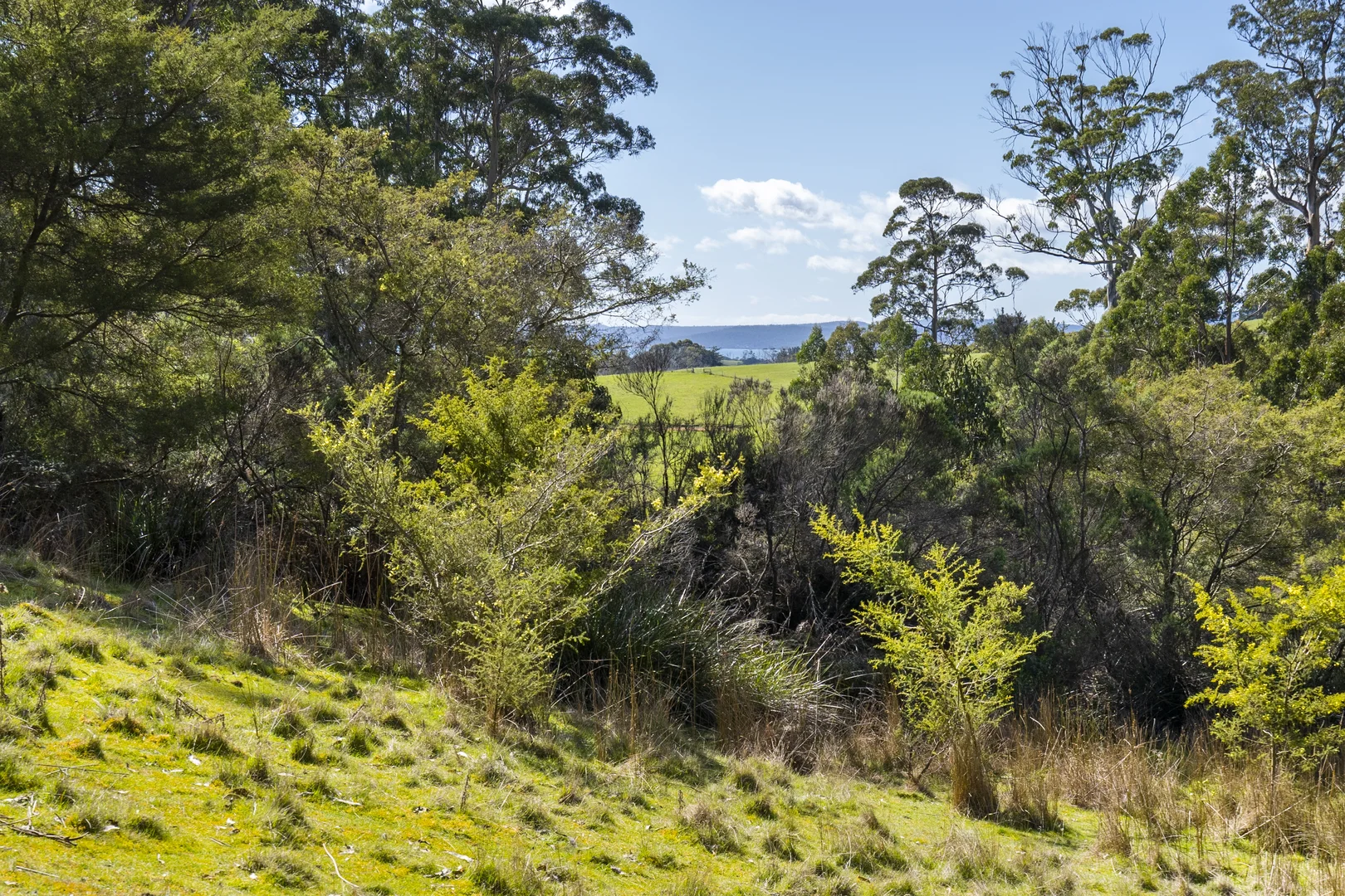 Additional image 19 of 129 Littles Road, Premaydena TAS 7185