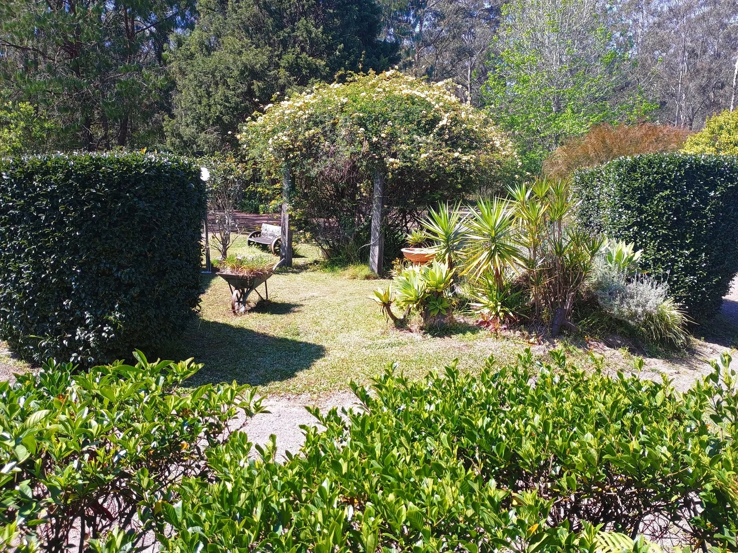 Additional image 27 of 427 Markwell Back Road, Bulahdelah NSW 2423