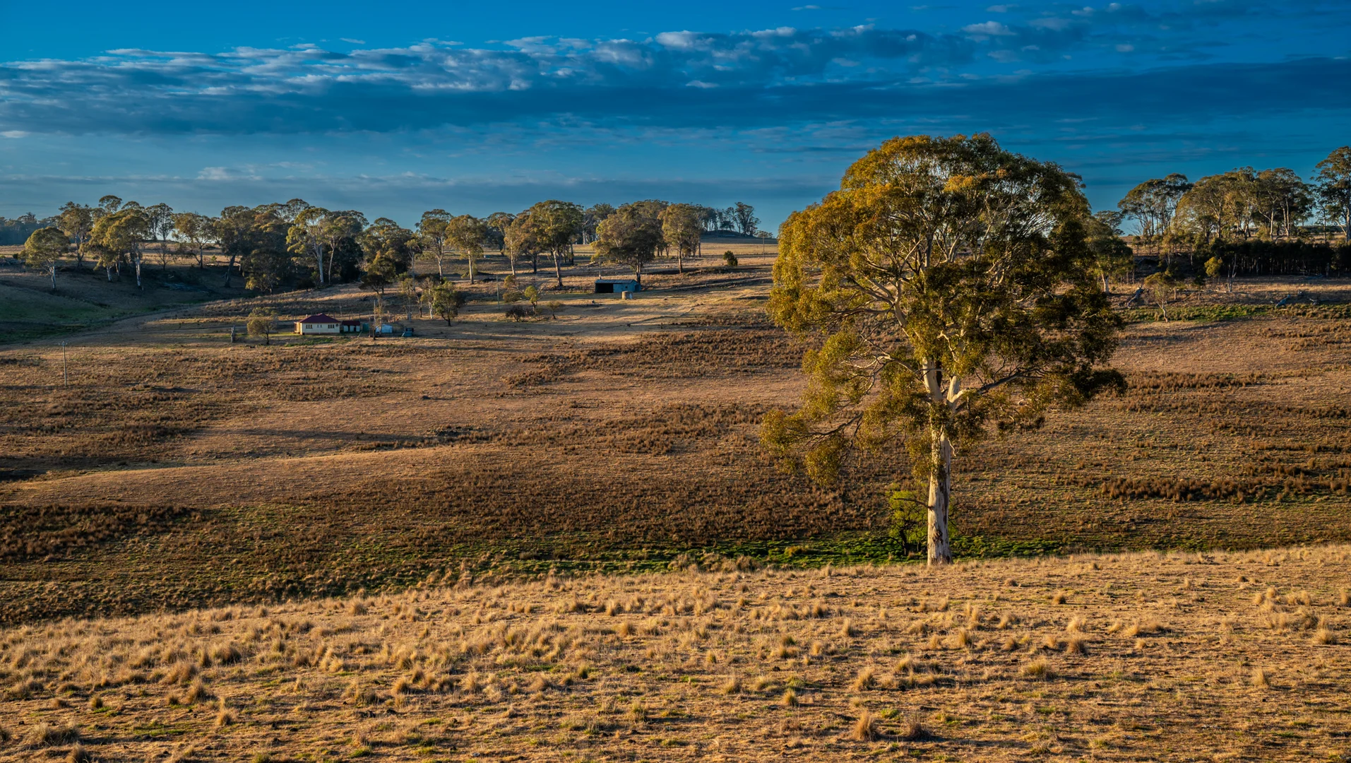 Additional image 22 of 250 Sissons Road Aberfoyle, Armidale NSW 2350