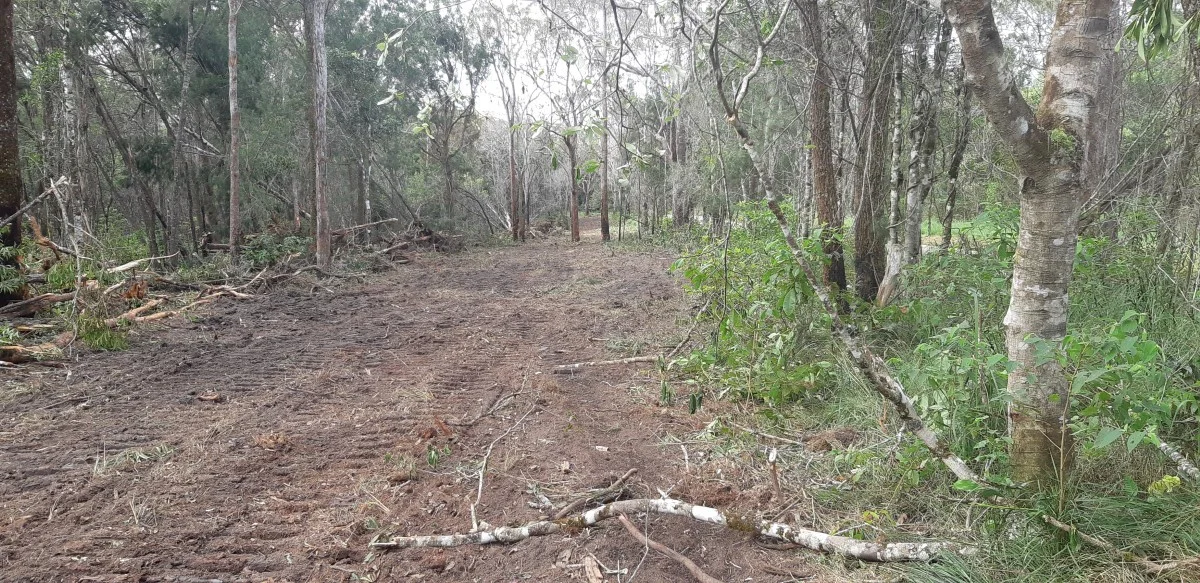 Additional image 14 of 405 Oak Hills Road, Mount Fox QLD 4850