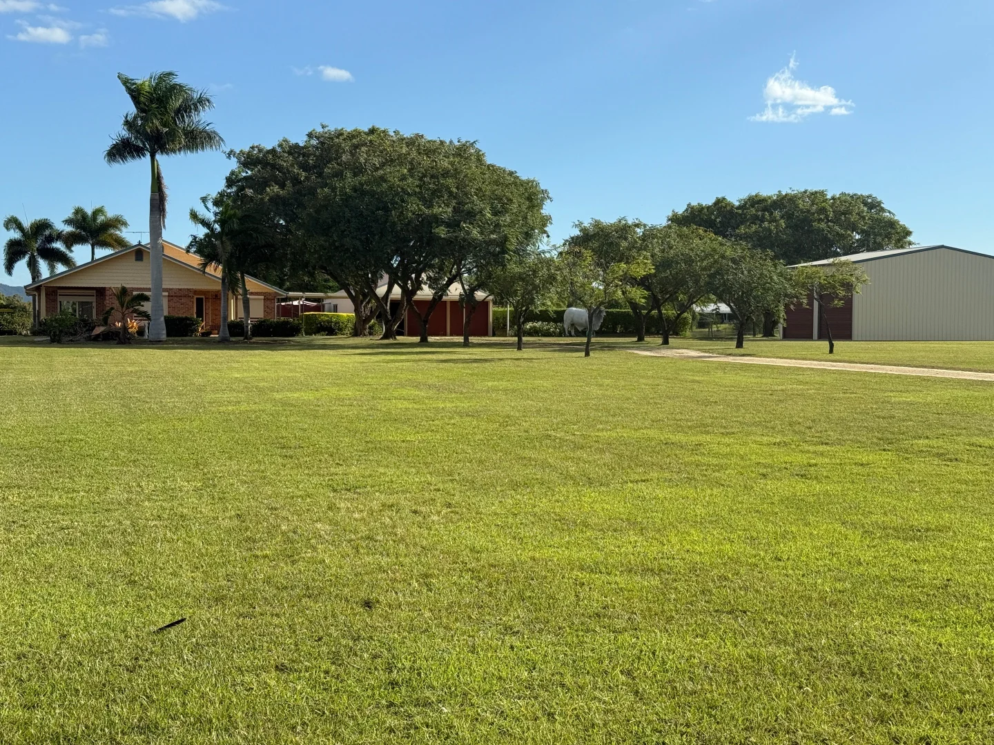 Additional image 4 of 48 Washpool Road, Gracemere QLD 4702