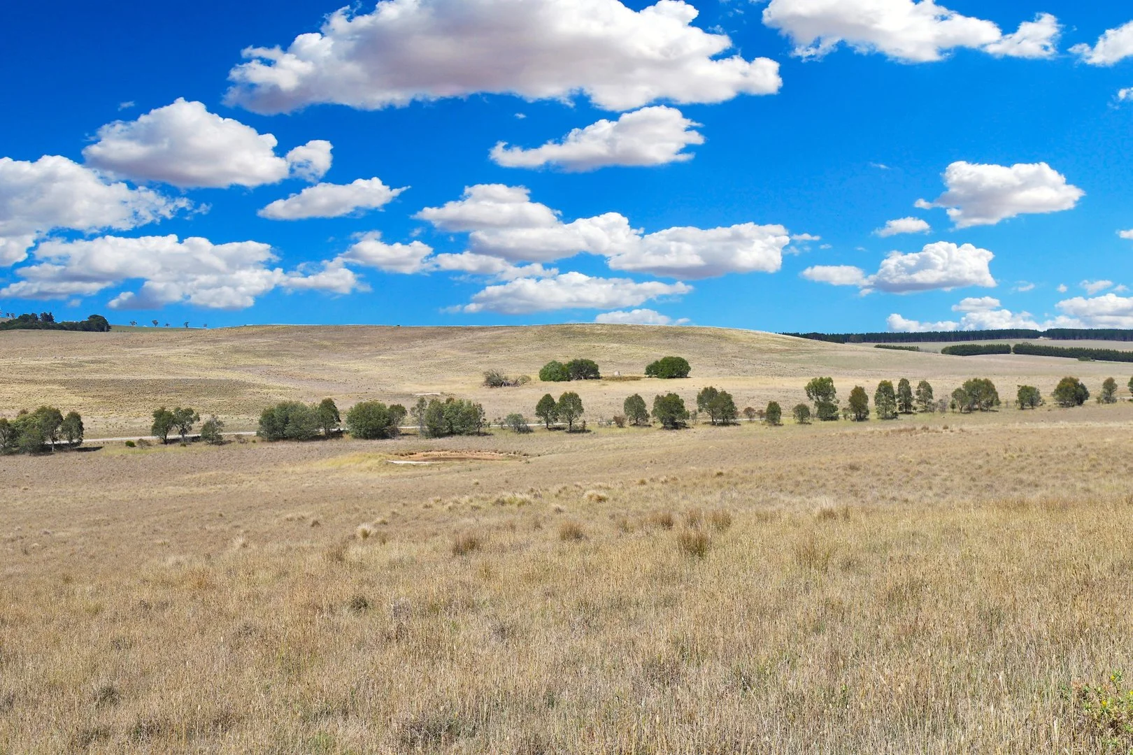 Additional image 17 of 77 Aerodrome Road, Bombala NSW 2632