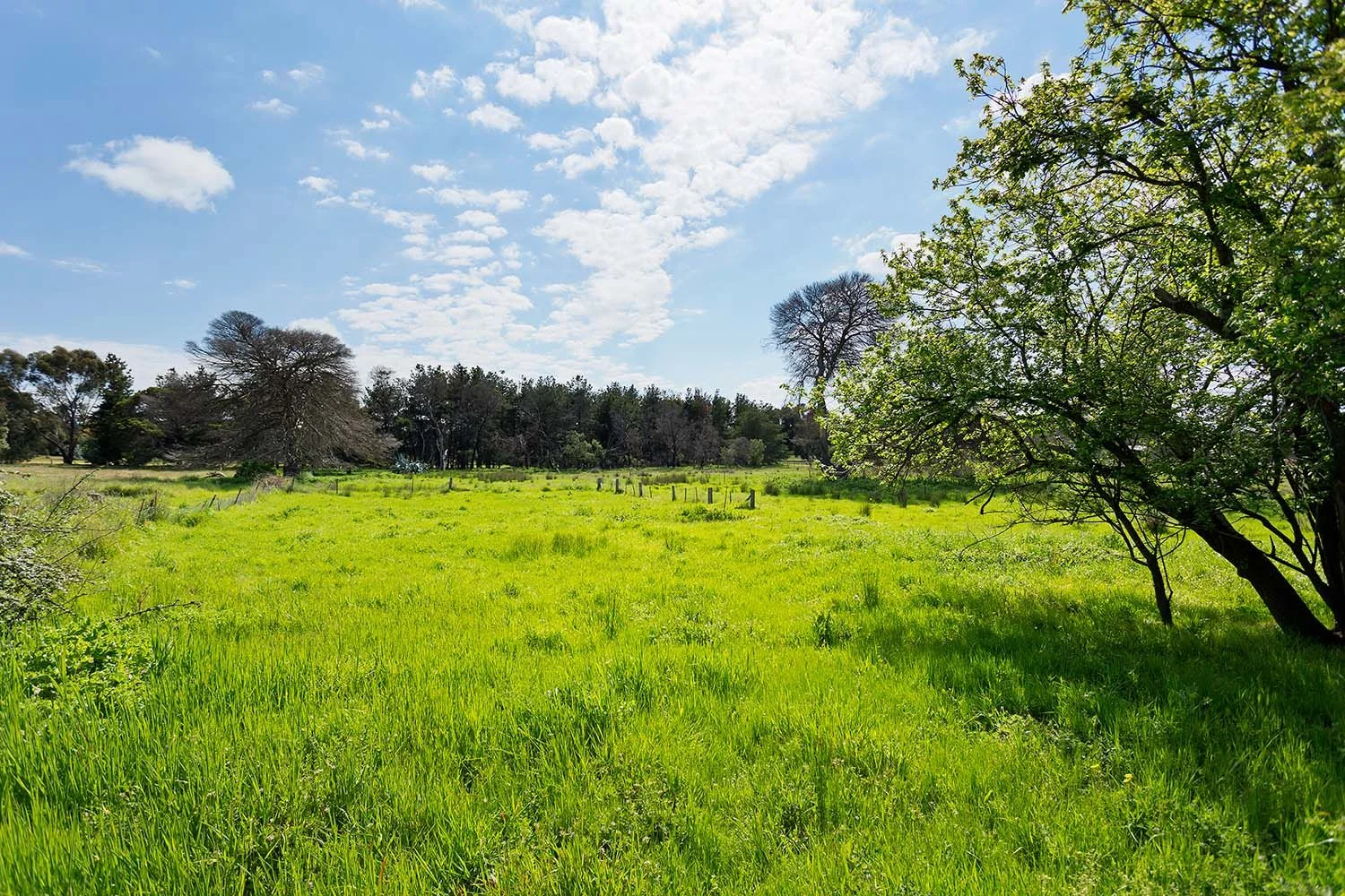 Additional image 3 of 30 Lowther Street, Maldon VIC 3463