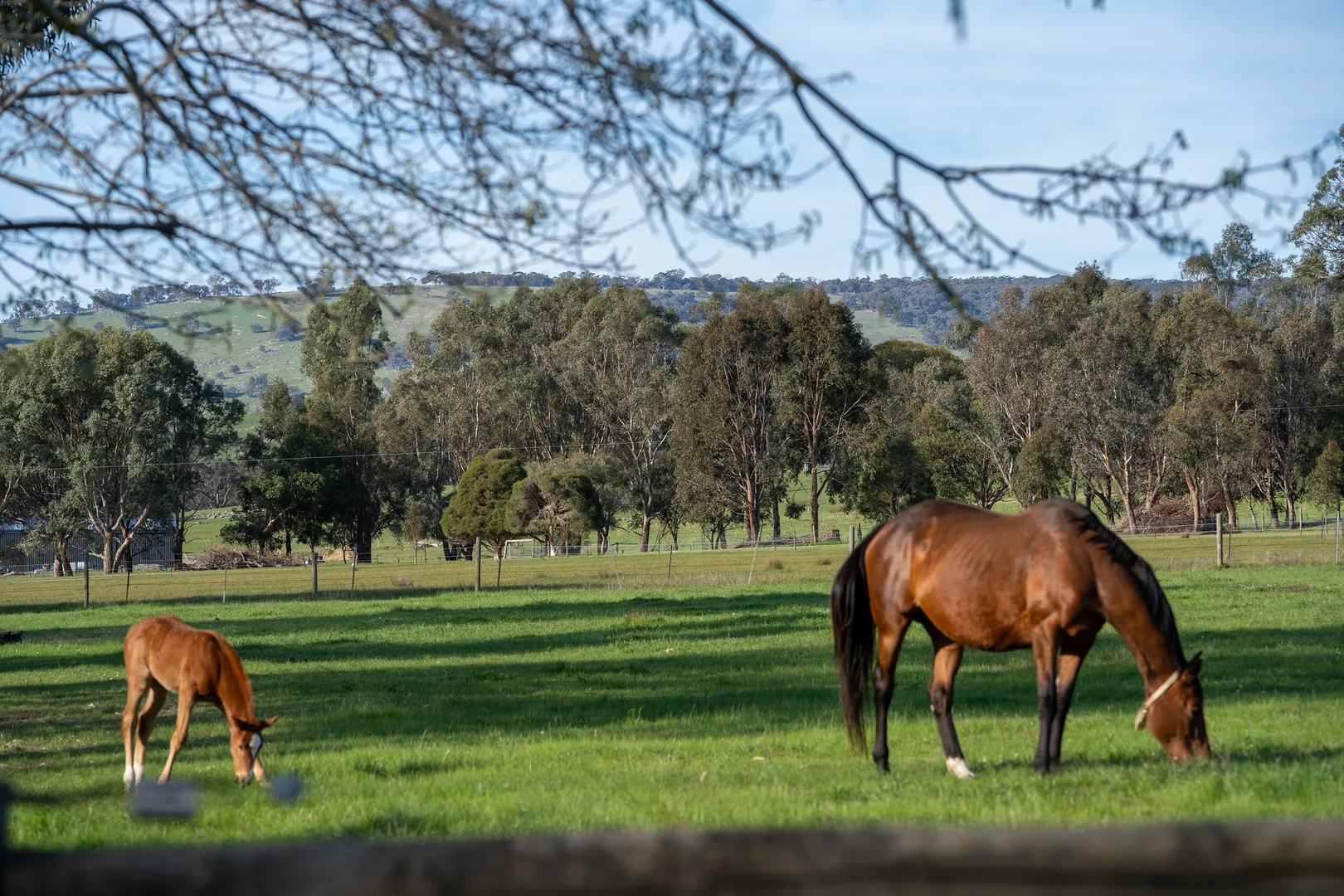 Additional image 12 of 304 Sheans Creek Road, Sheans Creek VIC 3666