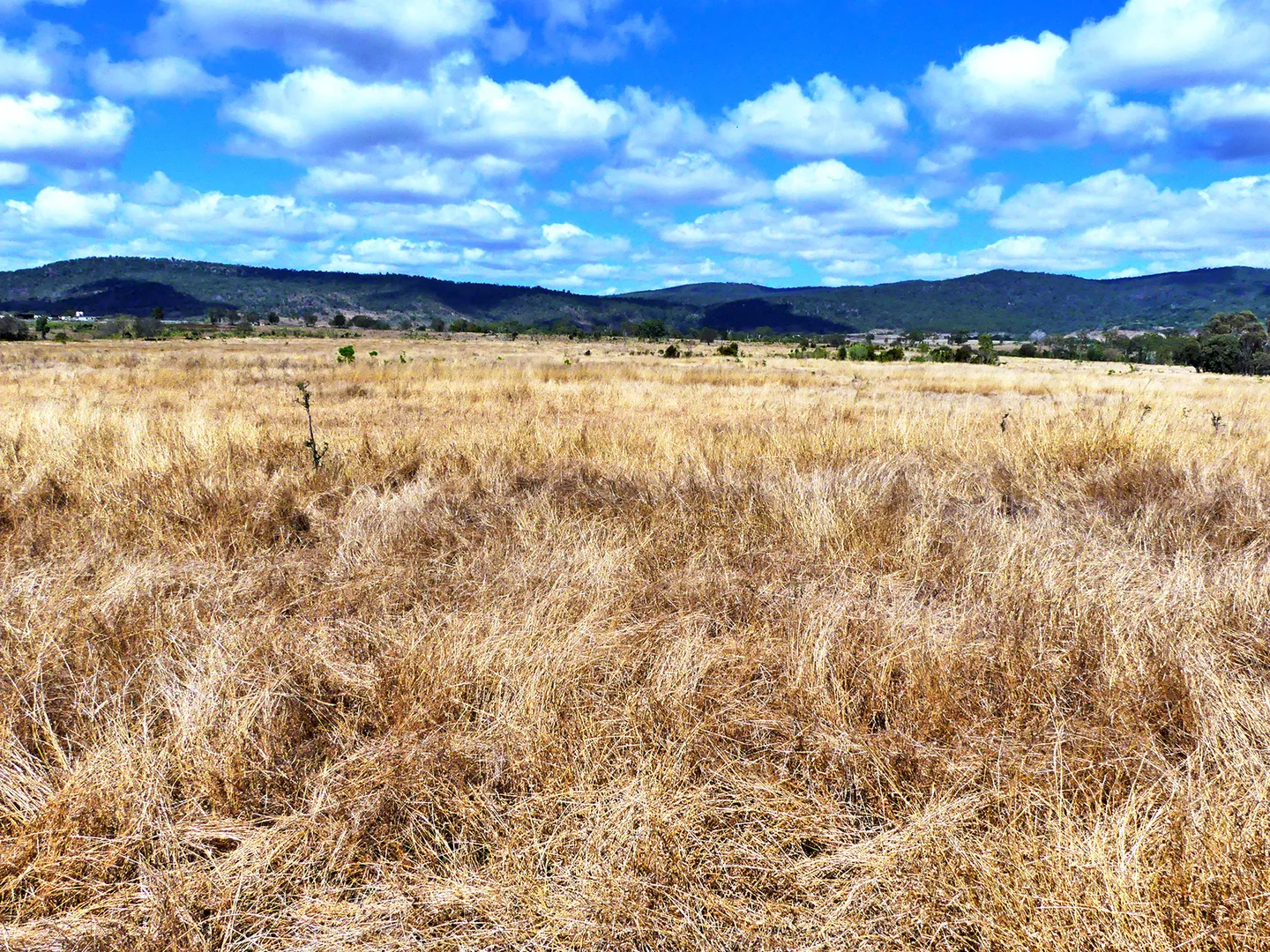 Additional image 28 of 260 Shannen Road, Dalma QLD 4702