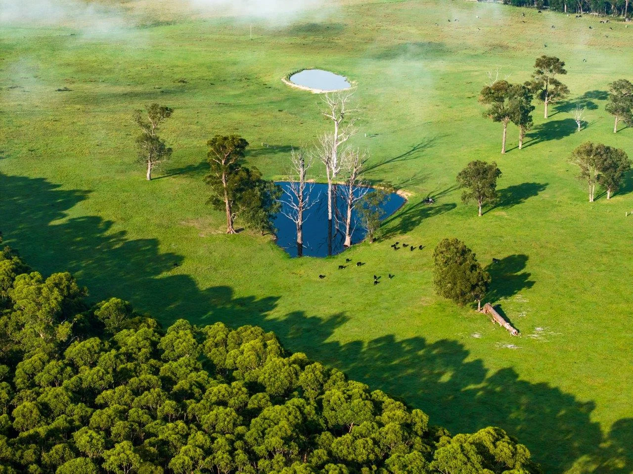 Additional image 21 of 393 & 428 Sandy Flat Road, Brodribb River VIC 3888