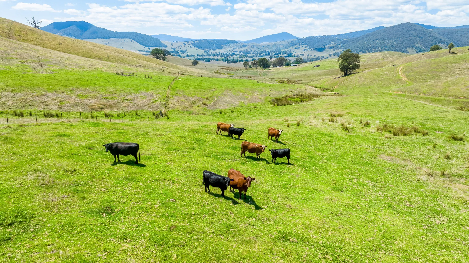 Additional image 11 of "Tom's" Tallys Lane, Tallangatta Valley VIC 3701