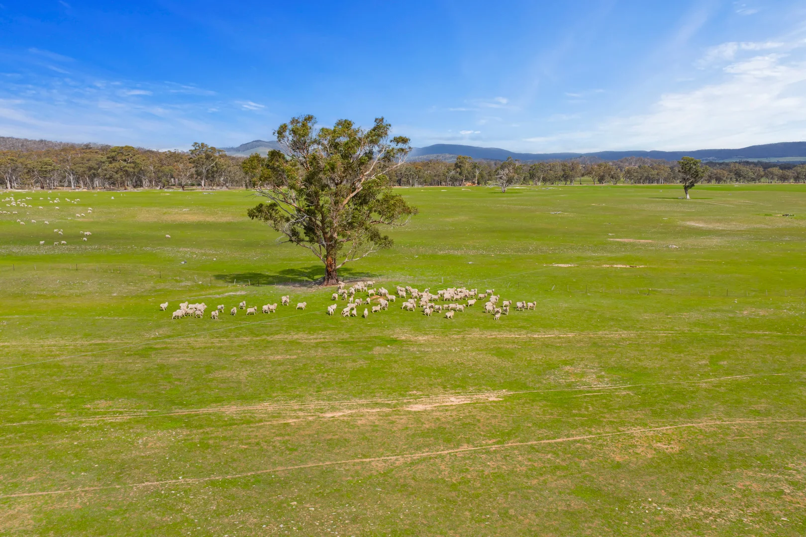 Additional image 25 of 441 Frenchmans - St Arnaud Road, Barkly VIC 3384