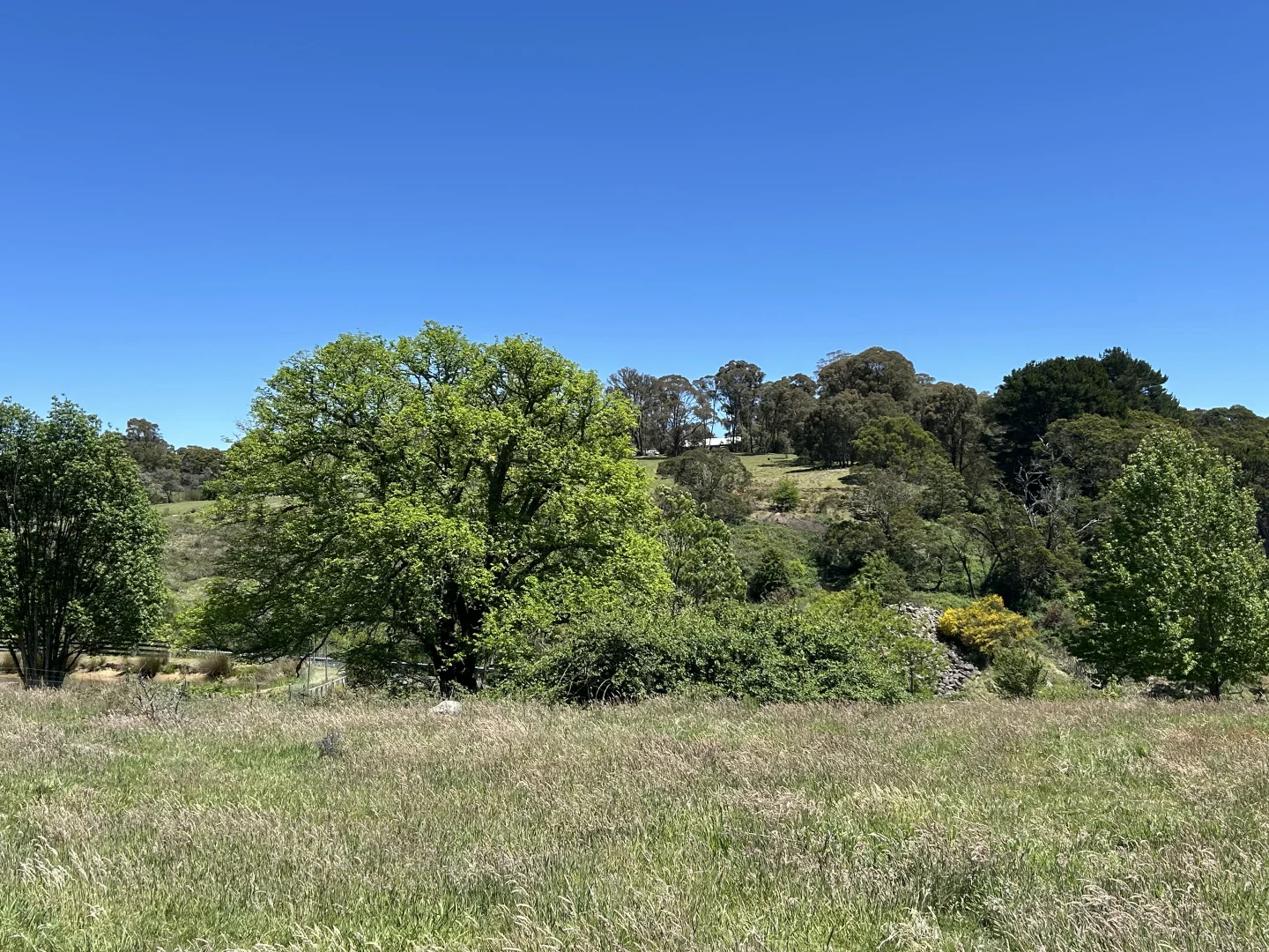 Additional image 10 of 1202 Majors Creek Road, Majors Creek NSW 2622