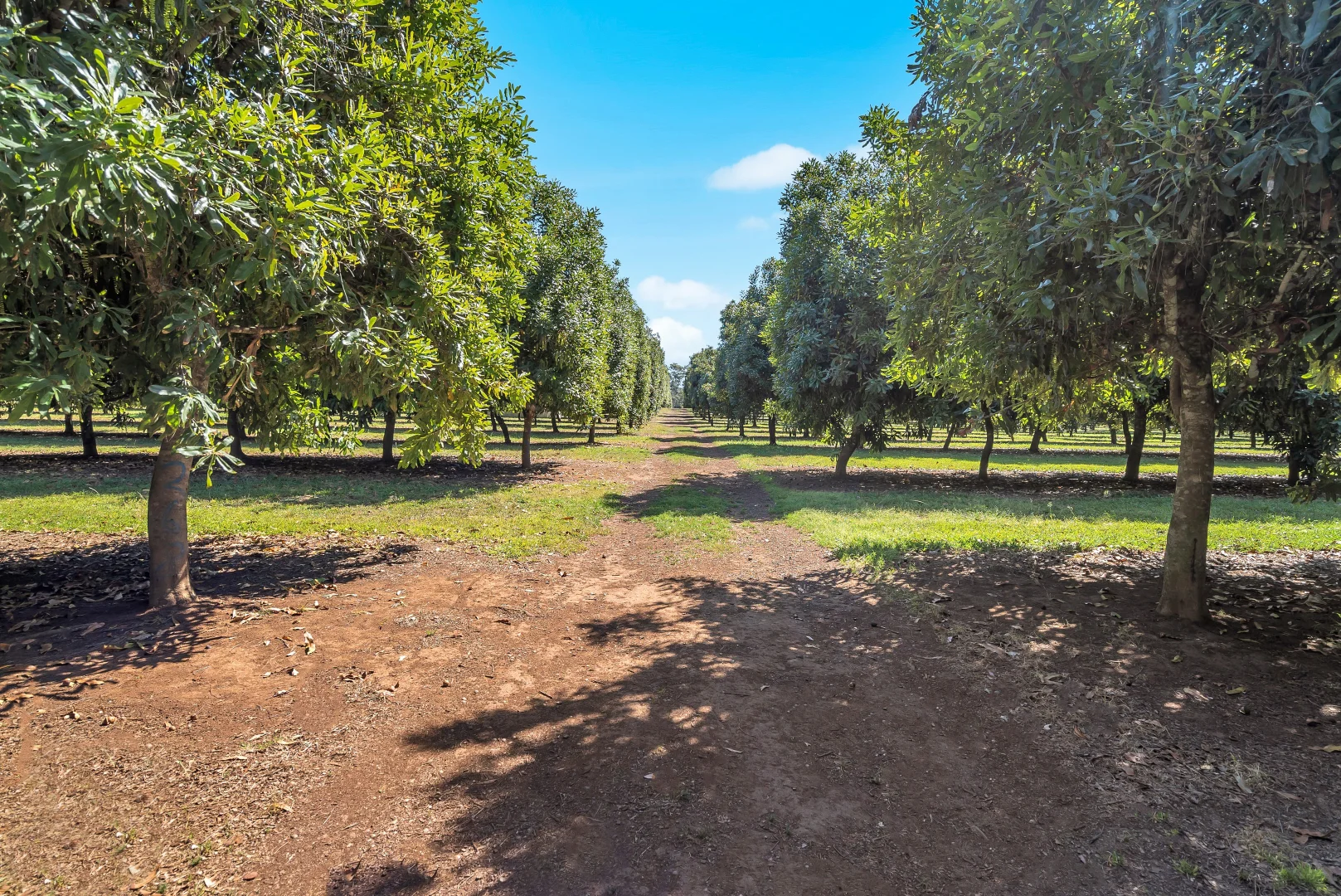 Additional image 20 of Pacific Highway, Eungai Creek NSW 2441