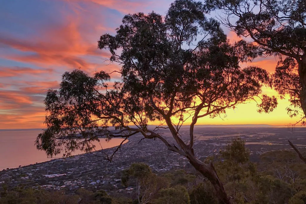 Additional image 22 of 22 Nestle Court, Arthurs Seat VIC 3936