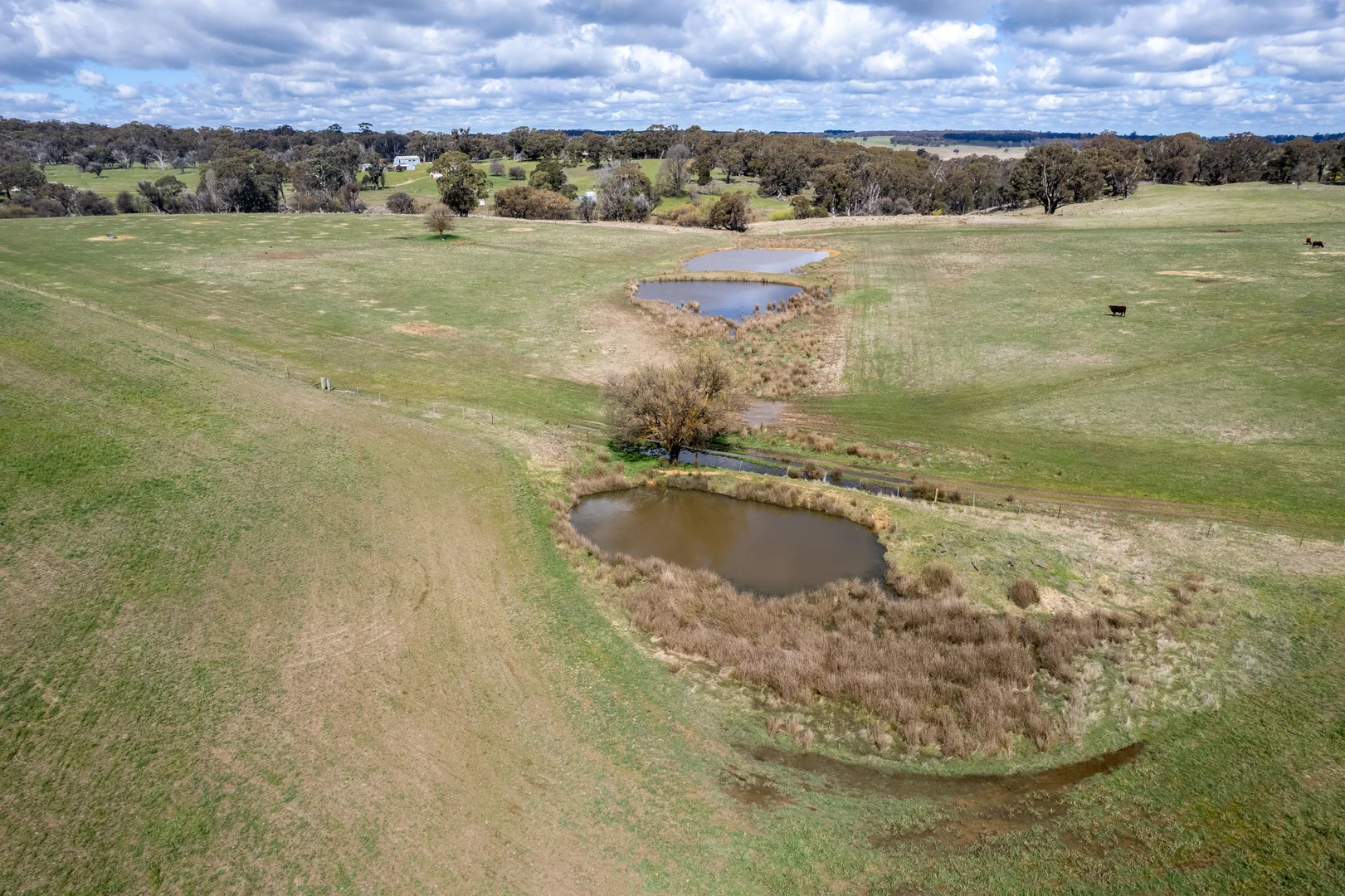 Additional image 19 of 6906 Boorowa Road, Lost River NSW 2583
