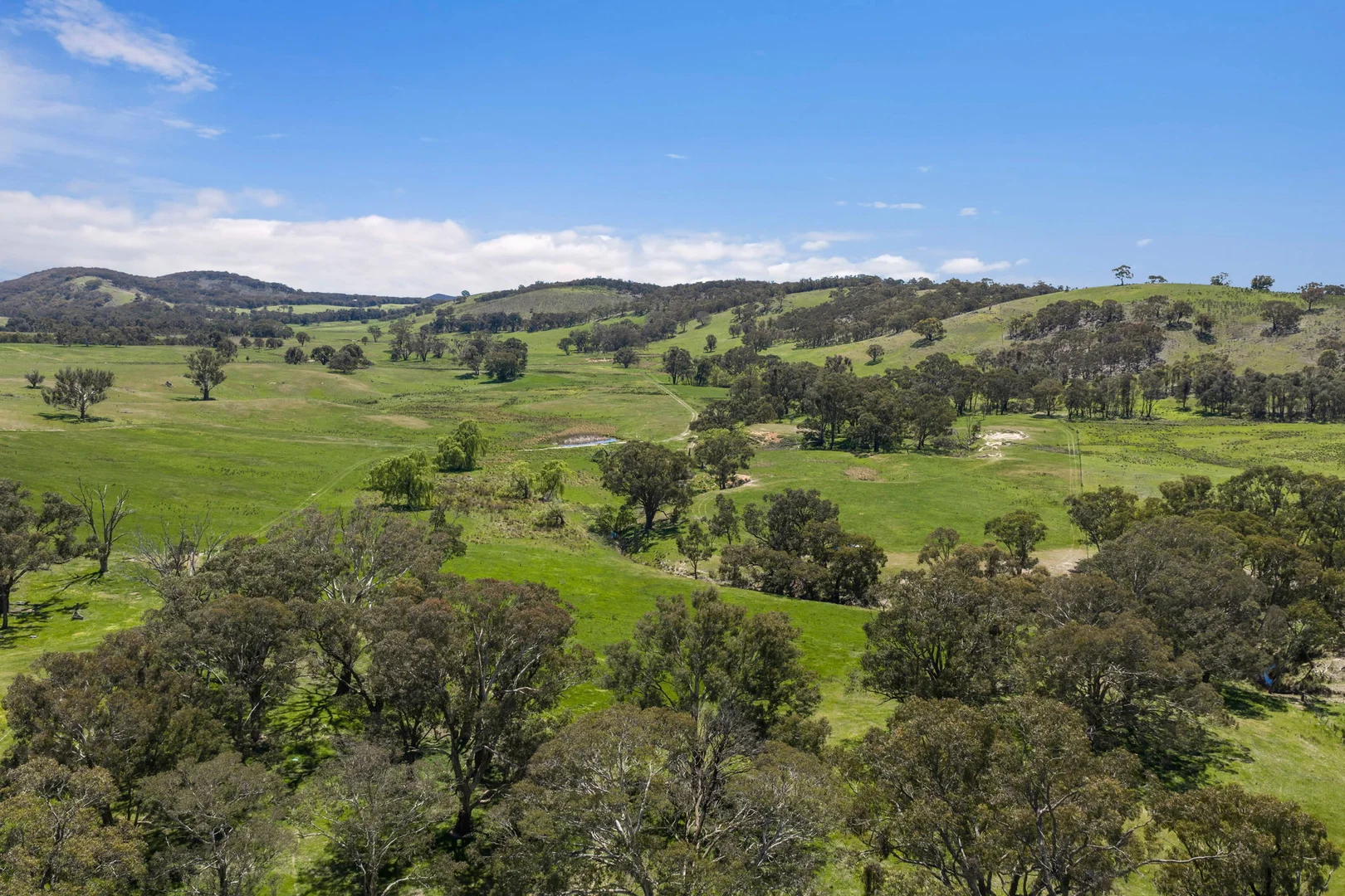 Additional image 13 of "Wattle Grove "1649 Coolalie Road, Yass NSW 2582