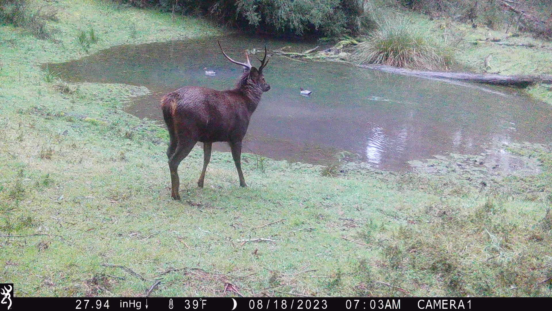 Additional image 22 of 40 Simpsons Creek Track, Nariel Valley VIC 3707