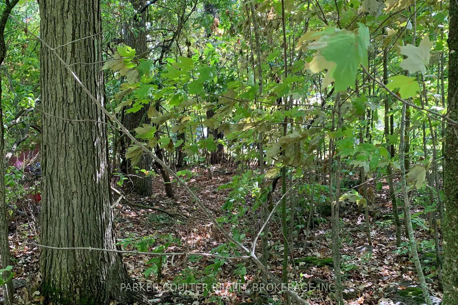 Additional image 8 of 6569 Rama Road