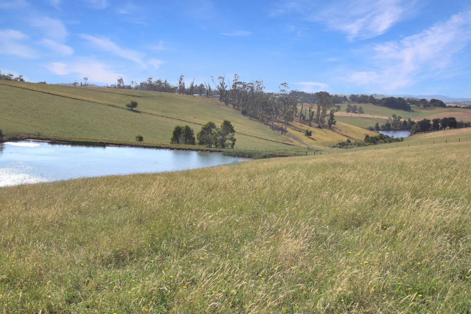 Additional image 7 of 3233 Strzelecki Highway, Mirboo North VIC 3871