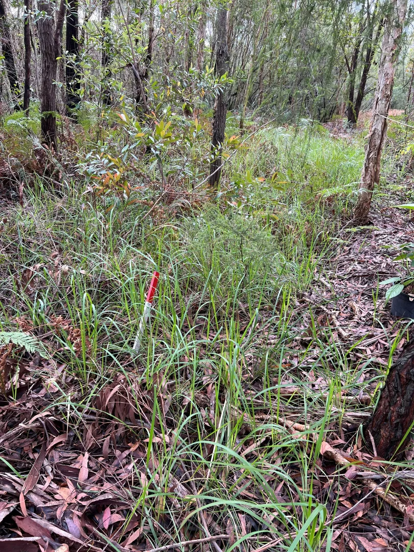 Additional image 13 of 45 Grove Rd, Russell Island QLD 4184