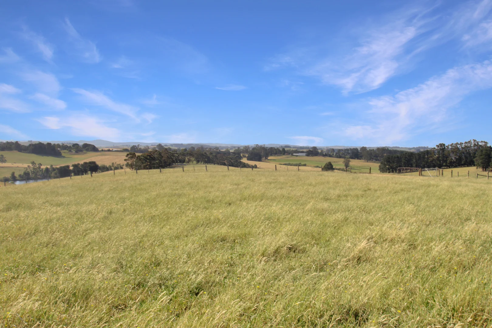 Additional image 15 of 3233 Strzelecki Highway, Mirboo North VIC 3871