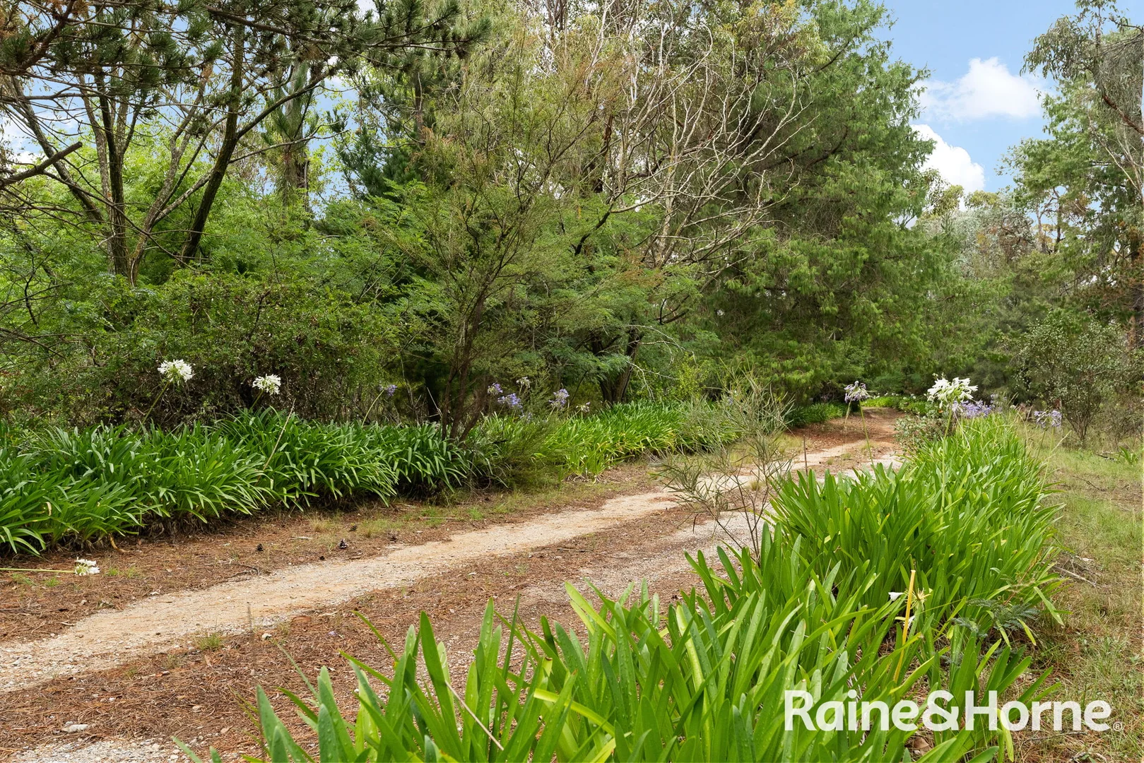 Additional image 2 of 5053 Castlereagh Highway Round Swamp Via, Capertee NSW 2846