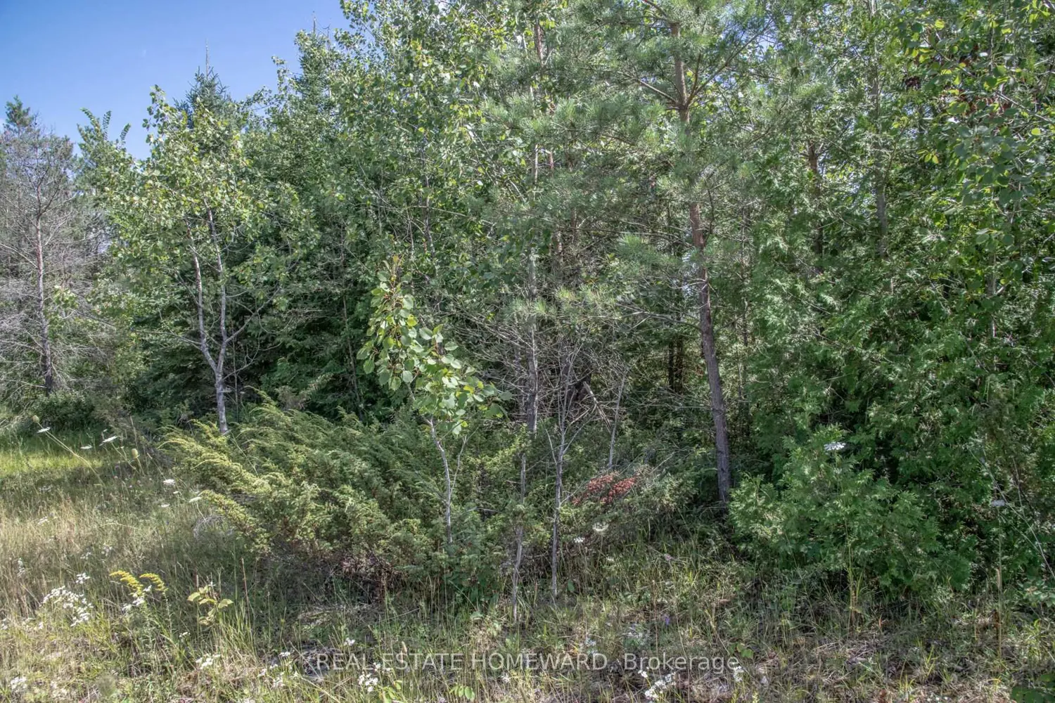 Additional image 8 of 254-256 Mcguire Beach Road