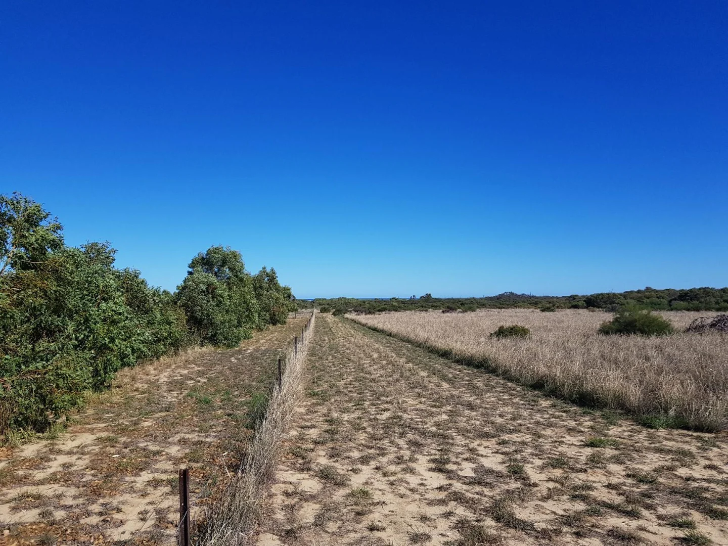 Additional image 5 of 114 Ocean View Parade, Jurien Bay WA 6516