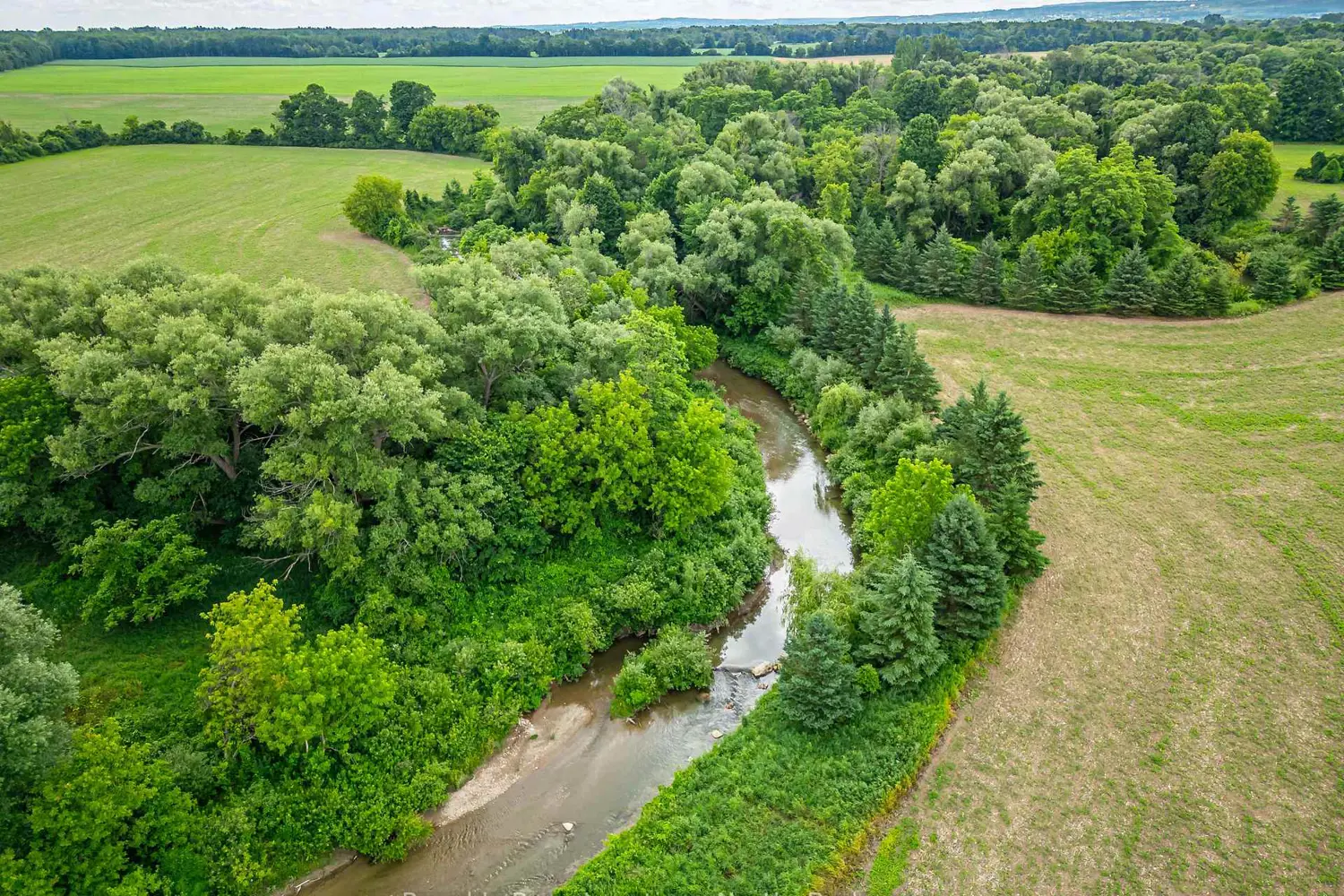 Additional image 5 of 7475 Poplar Side Road