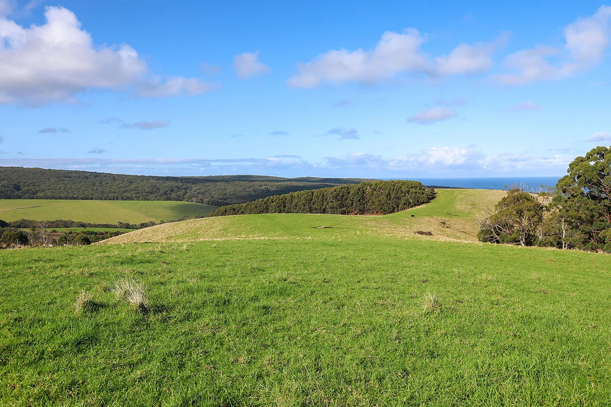 Additional image 16 of 105 Stafford Road, Johanna VIC 3238