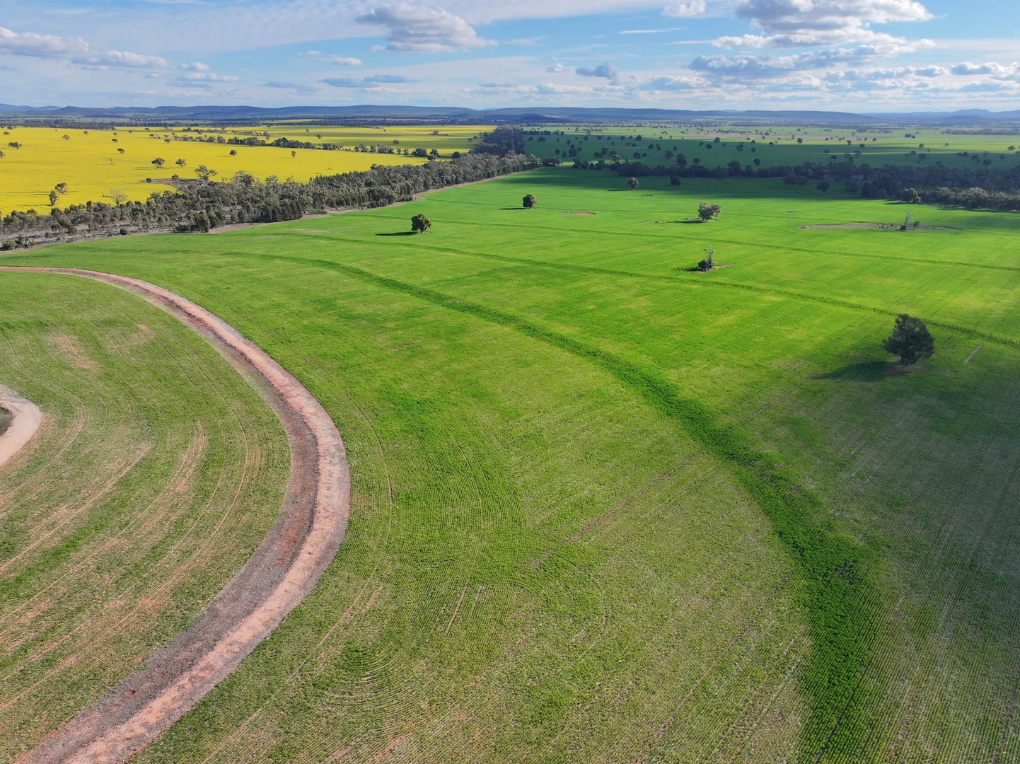 Additional image 23 of 2666 Henry Parkes Way, Gunningbland NSW 2876